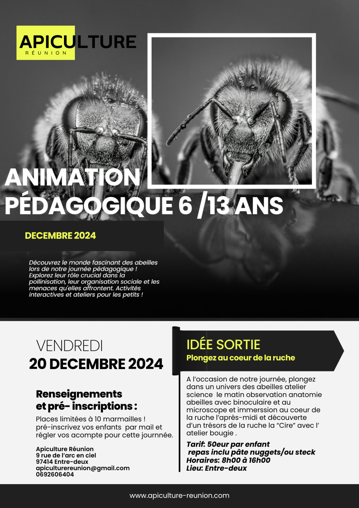 Animation pedagogique 20 decembre 2025